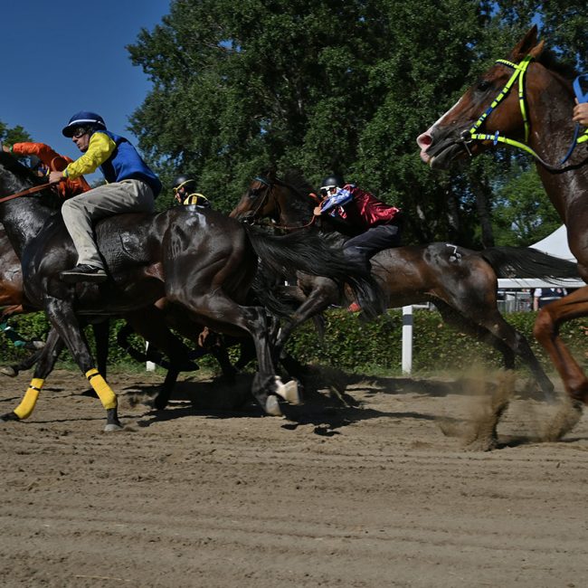 Palio delle contrade