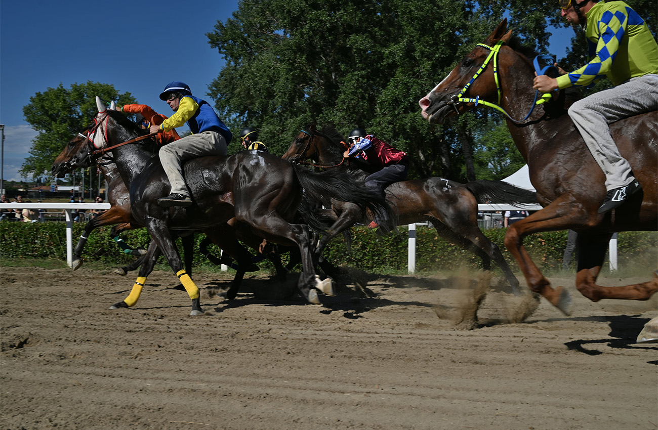 Palio delle contrade