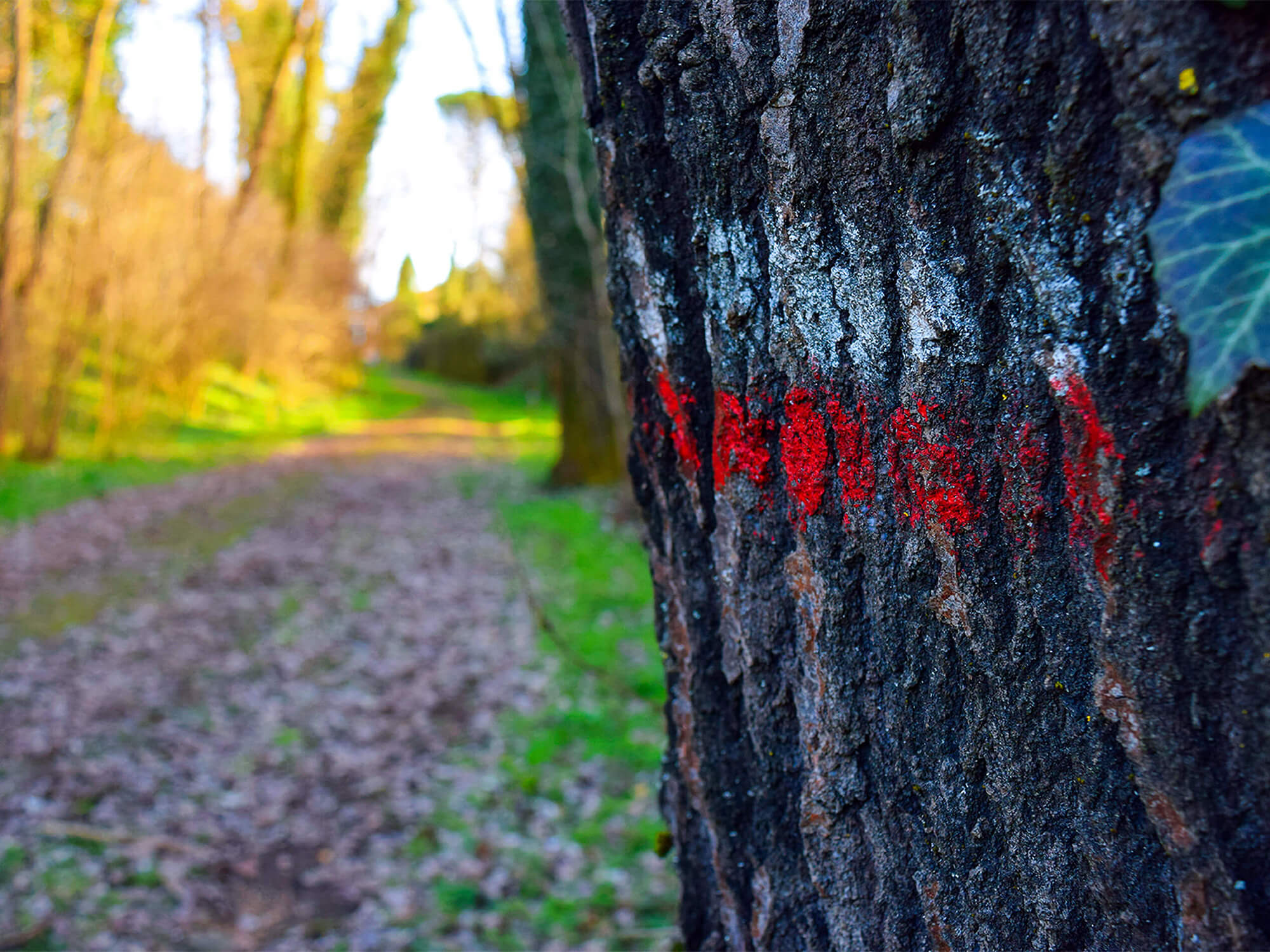 Fucecchio Via Francigena